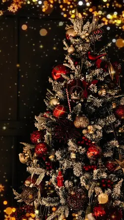 Natal