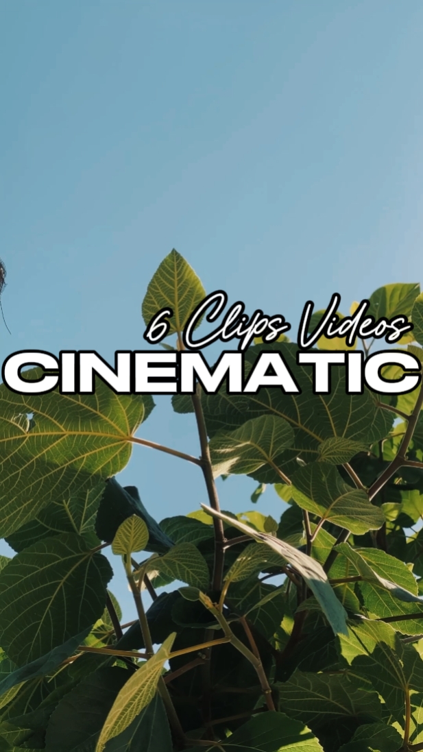 6 VIDEOS CINEMATIC