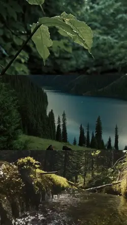cinematic nature