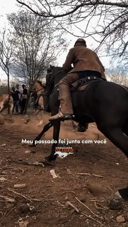 Vaquejada De Luxo