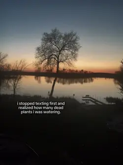 watering dead plants