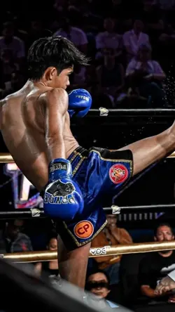 เพชรเตชินน!!