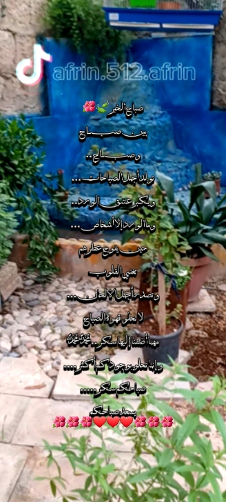 صباح الخير 