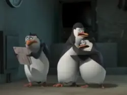 Penguin Madagascar 