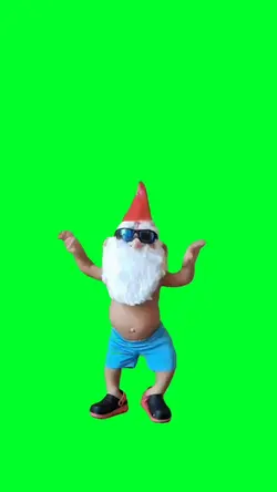 Funny Dancing Gnome