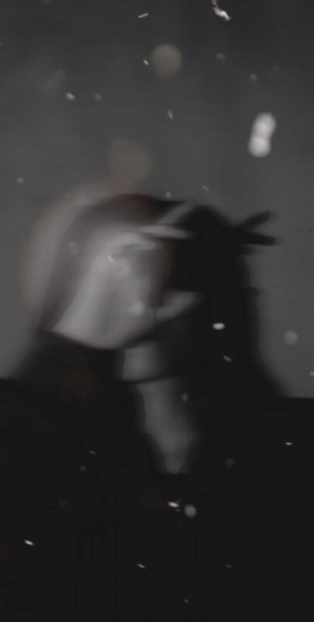 កាត់បានណា៎