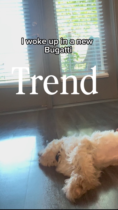 Tendance Bugatti