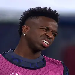 Free Vini template
