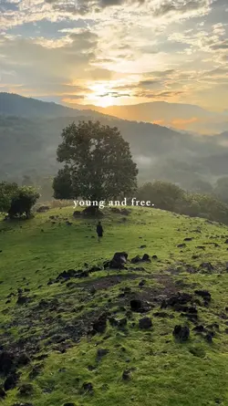 young and free
