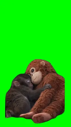 Monkey Love