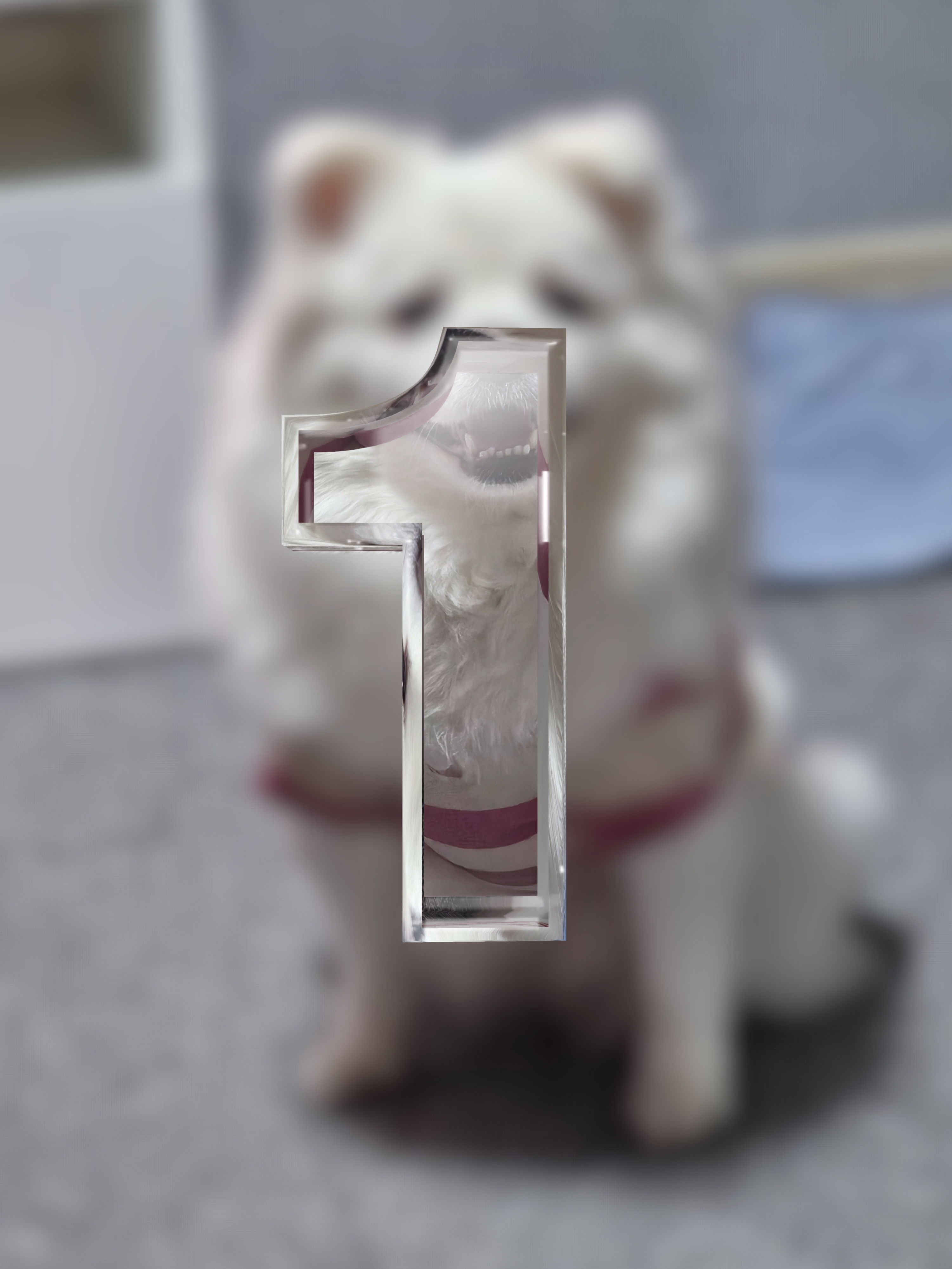 Foto de mascota