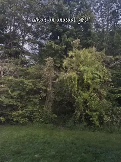 What an unusual view