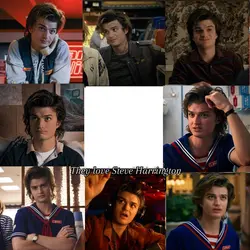 Steve Harrington 