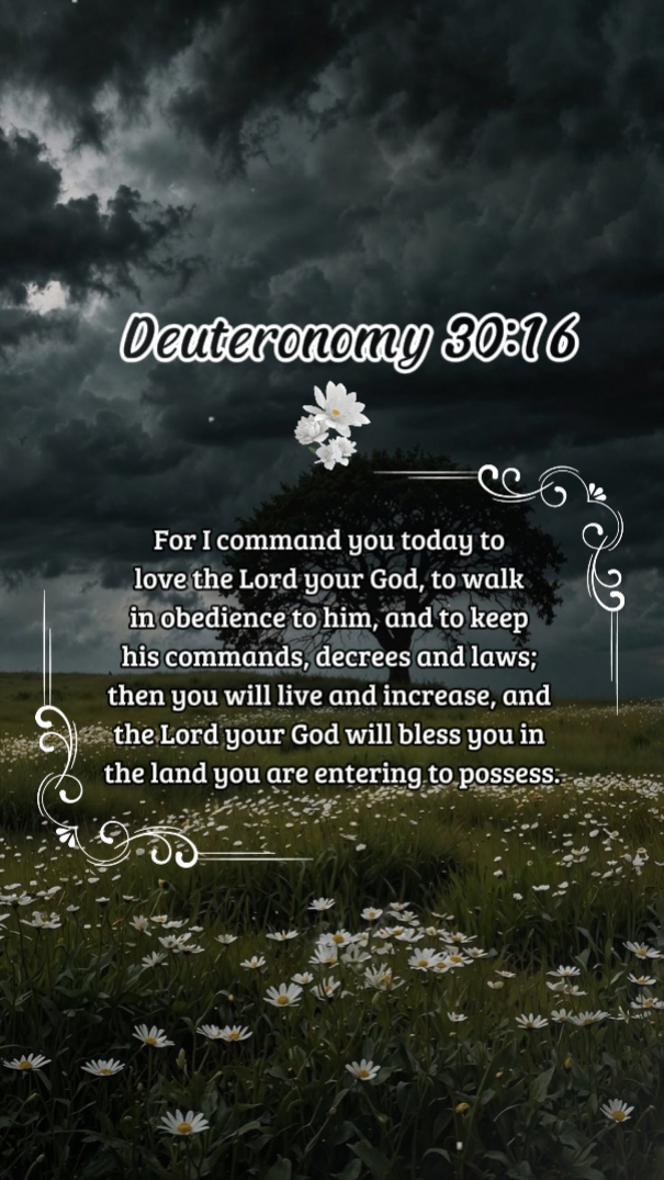 Deuteronômio 30: 16