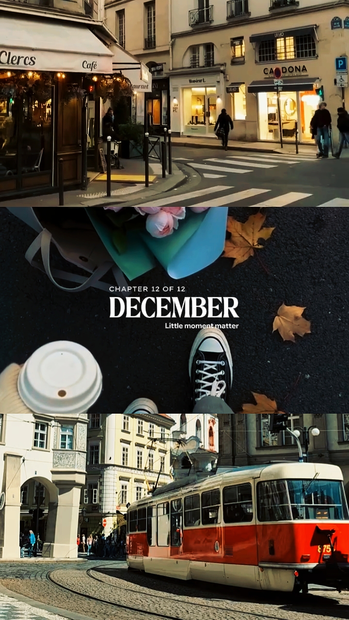 MOMENTO DE DEZEMBRO