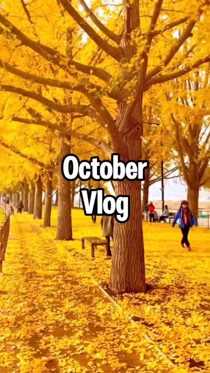 October Vlog