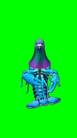 Blue Pigeon Lobster