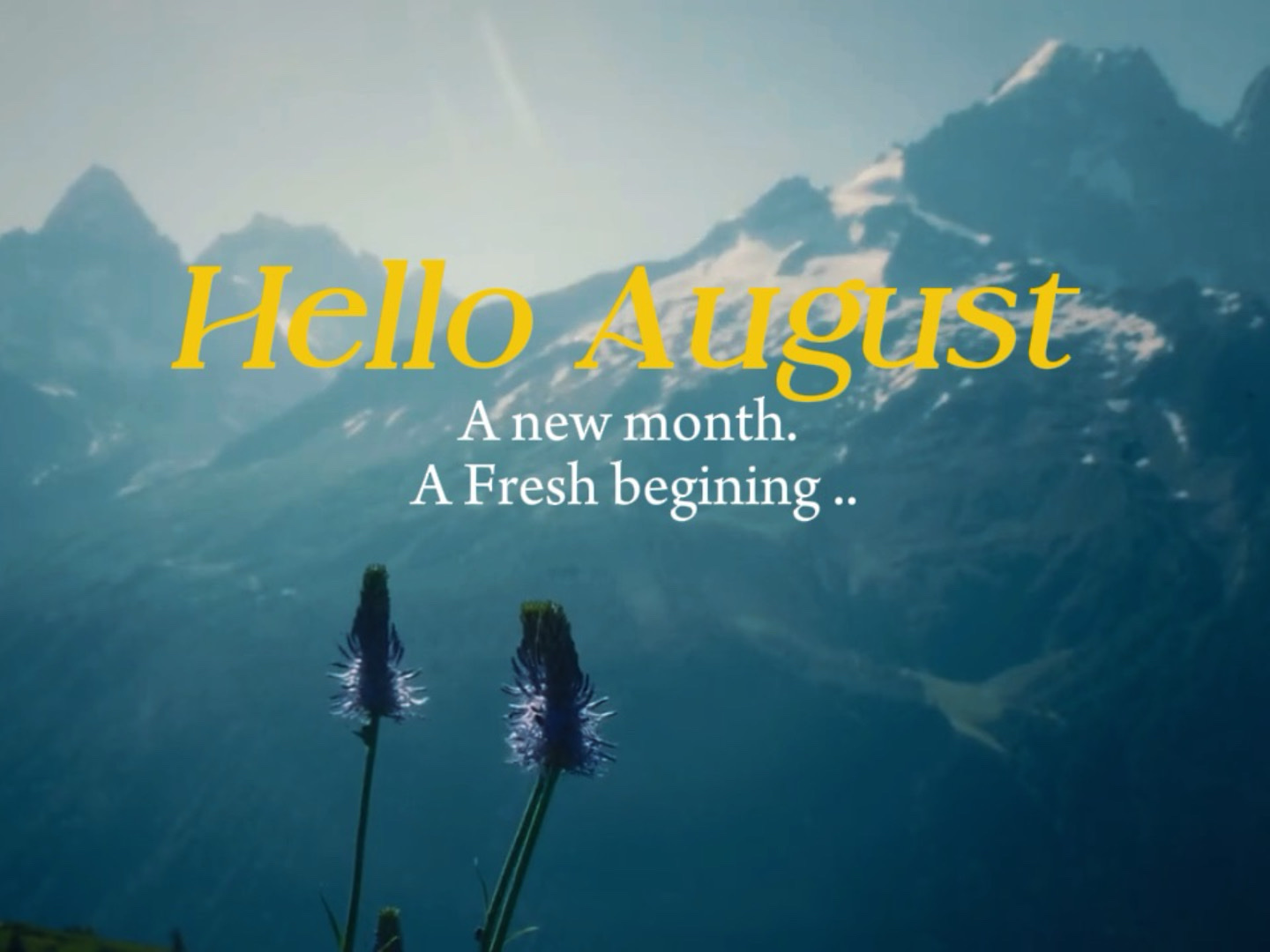 Hola agosto