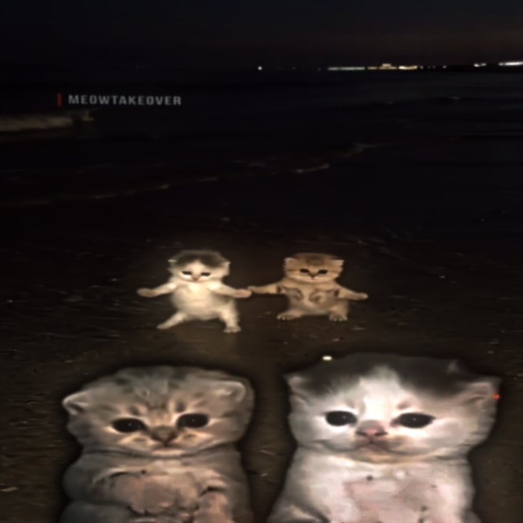 몬태젬 와 와 와