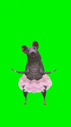 Baby Boo Rat