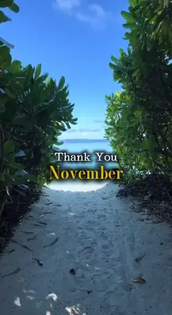 Thank You November
