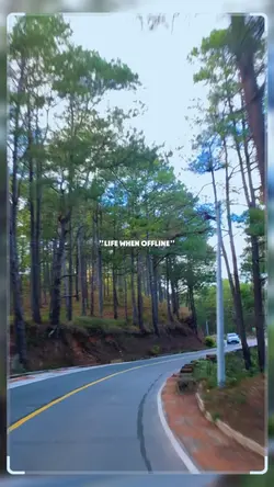 LIFE WHEN OFFLINE 