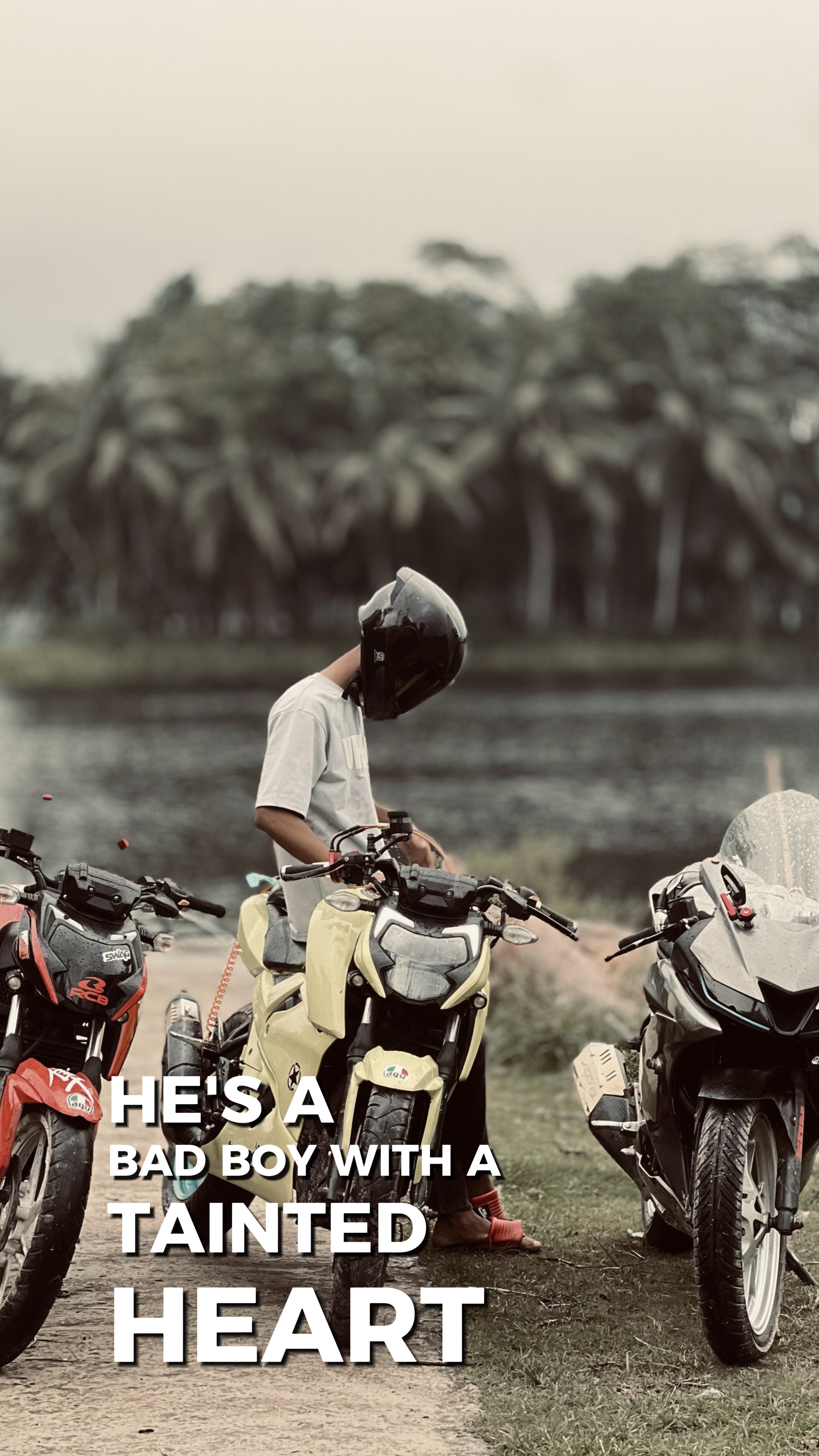 Cover Picture