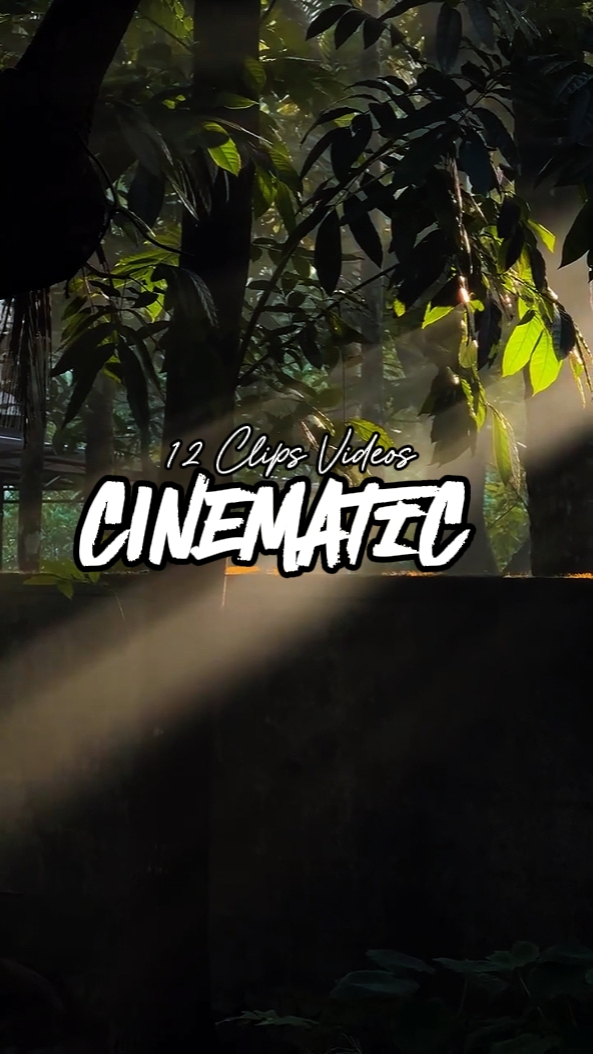Cinématique 