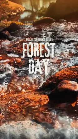 Forest Day