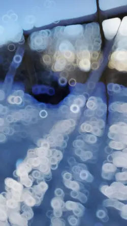 SlowMotion