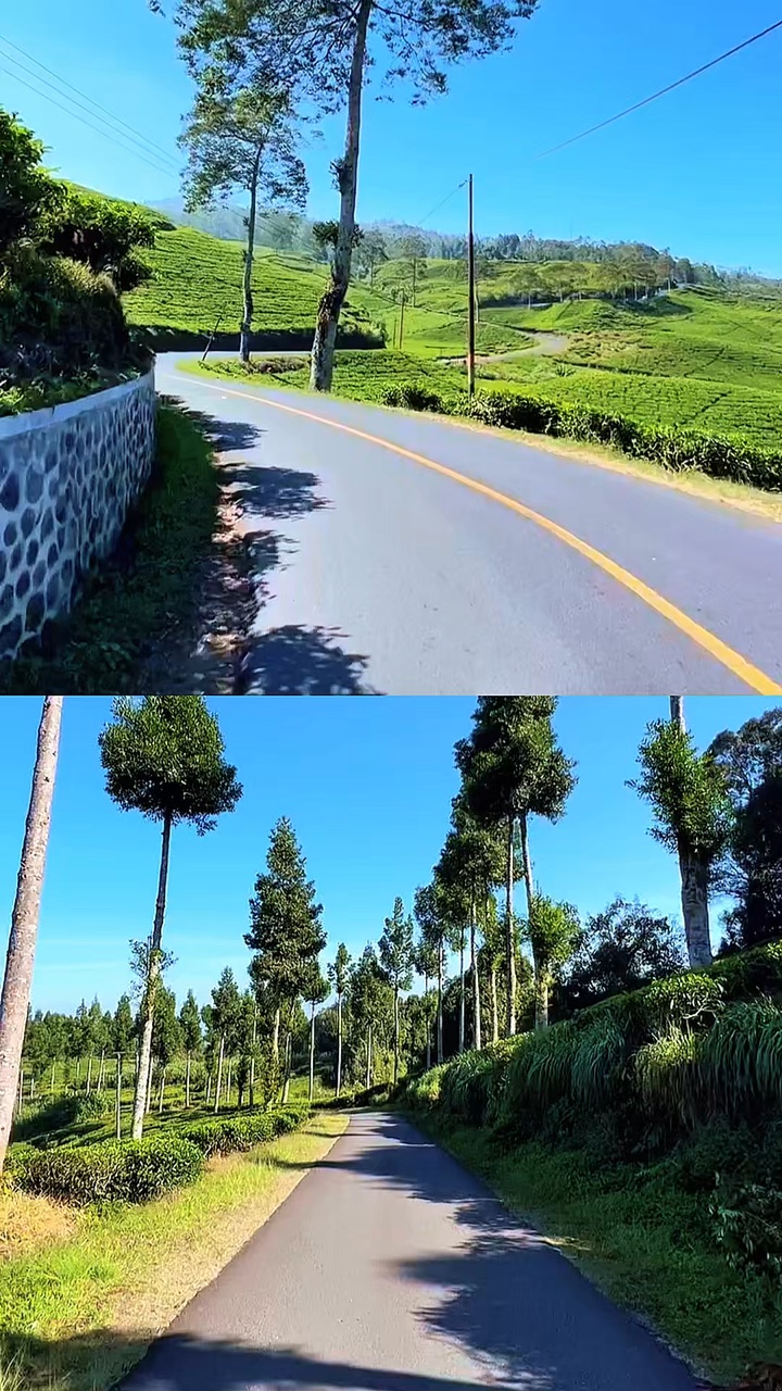 2 videos kolase