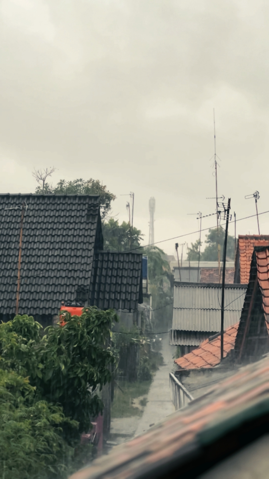 Stan cinematográfico