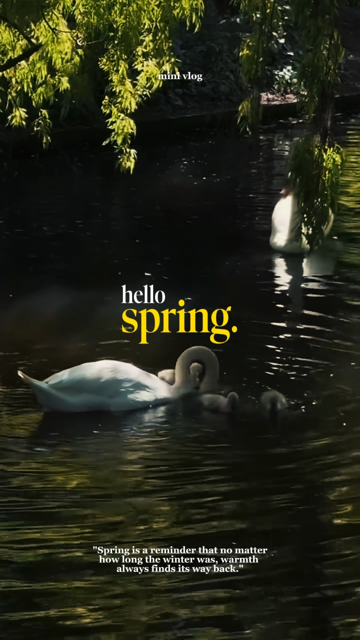 Hallo Frühling