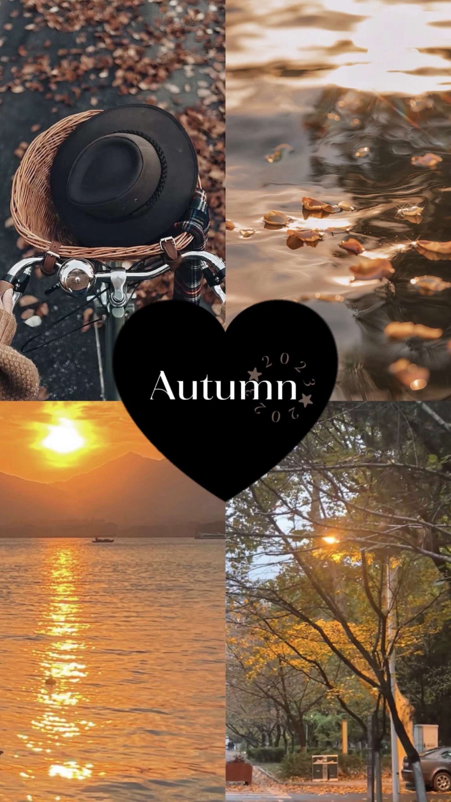 Autumn Vibes 🍂🤎