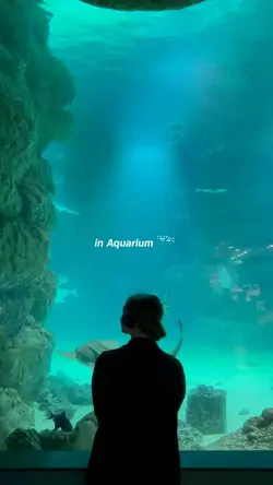 in Aquarium