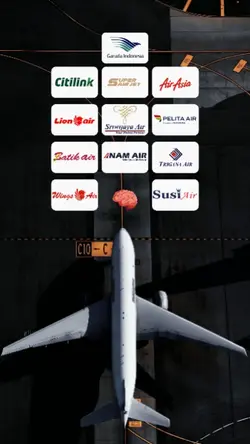 maskapai penerbangan