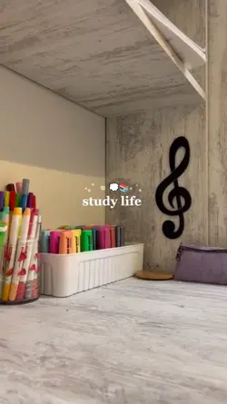 study vlog 