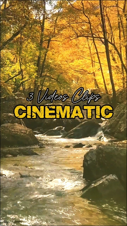 3 Videos Clips