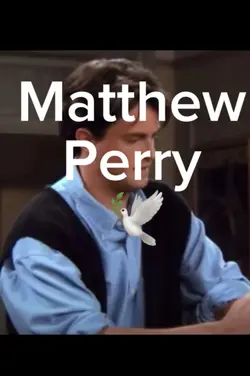 Matthew Perry🕊️