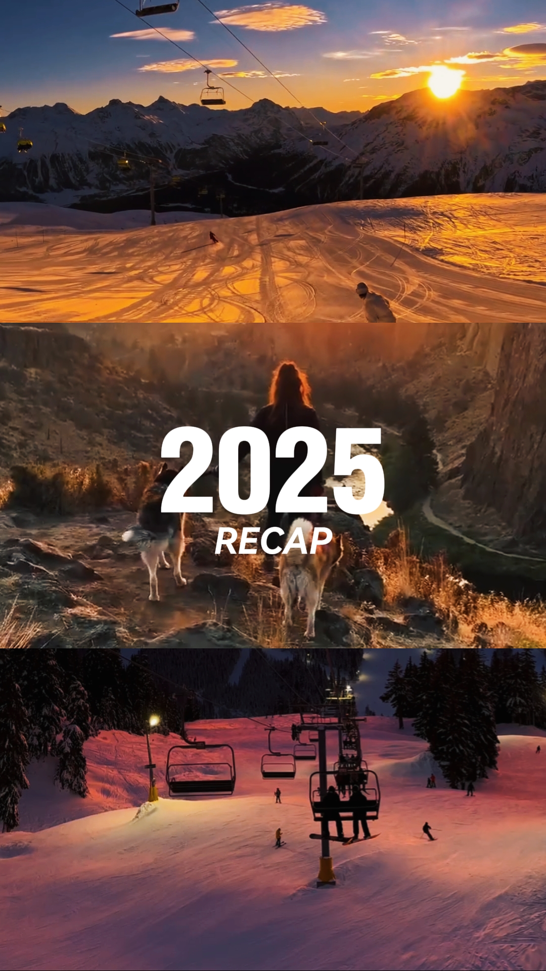2025 요약