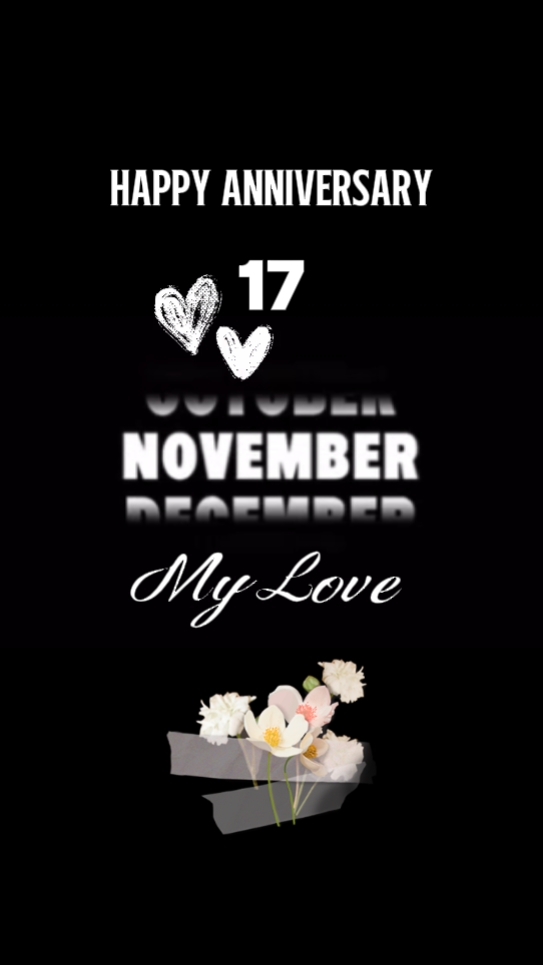 Yıldönümü 17 Novem