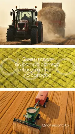 AGRO CAMPO PLANTAÇÃO