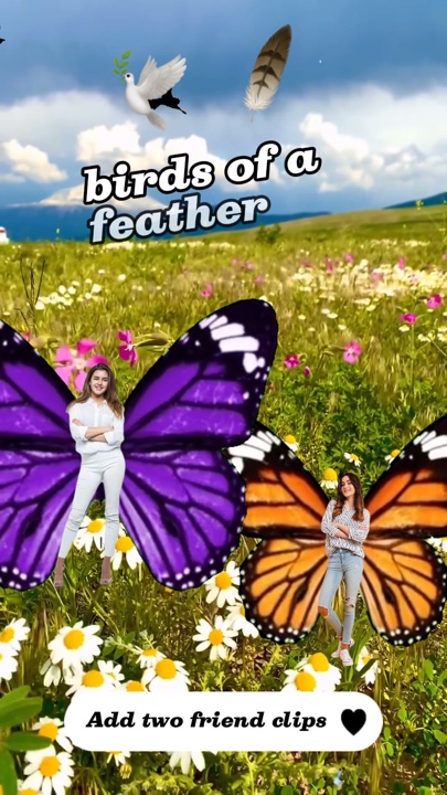 Butterfly besties 