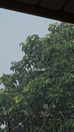 hali ka rito
