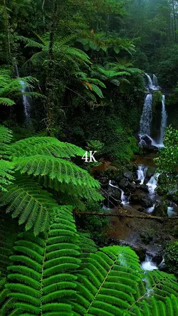 camera 144p VS 4K 