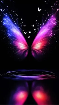 Butterfly Effects