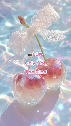 Only One ｜43枚