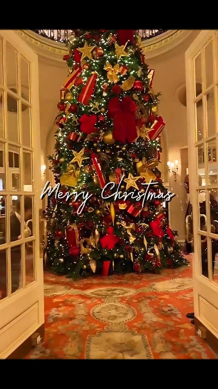 Merry christmas