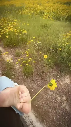 😻😻