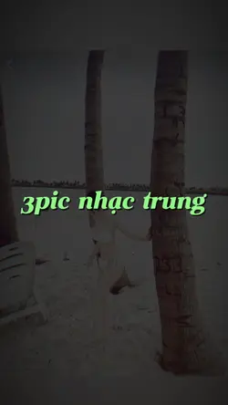 3Pic Nhạc Trung
